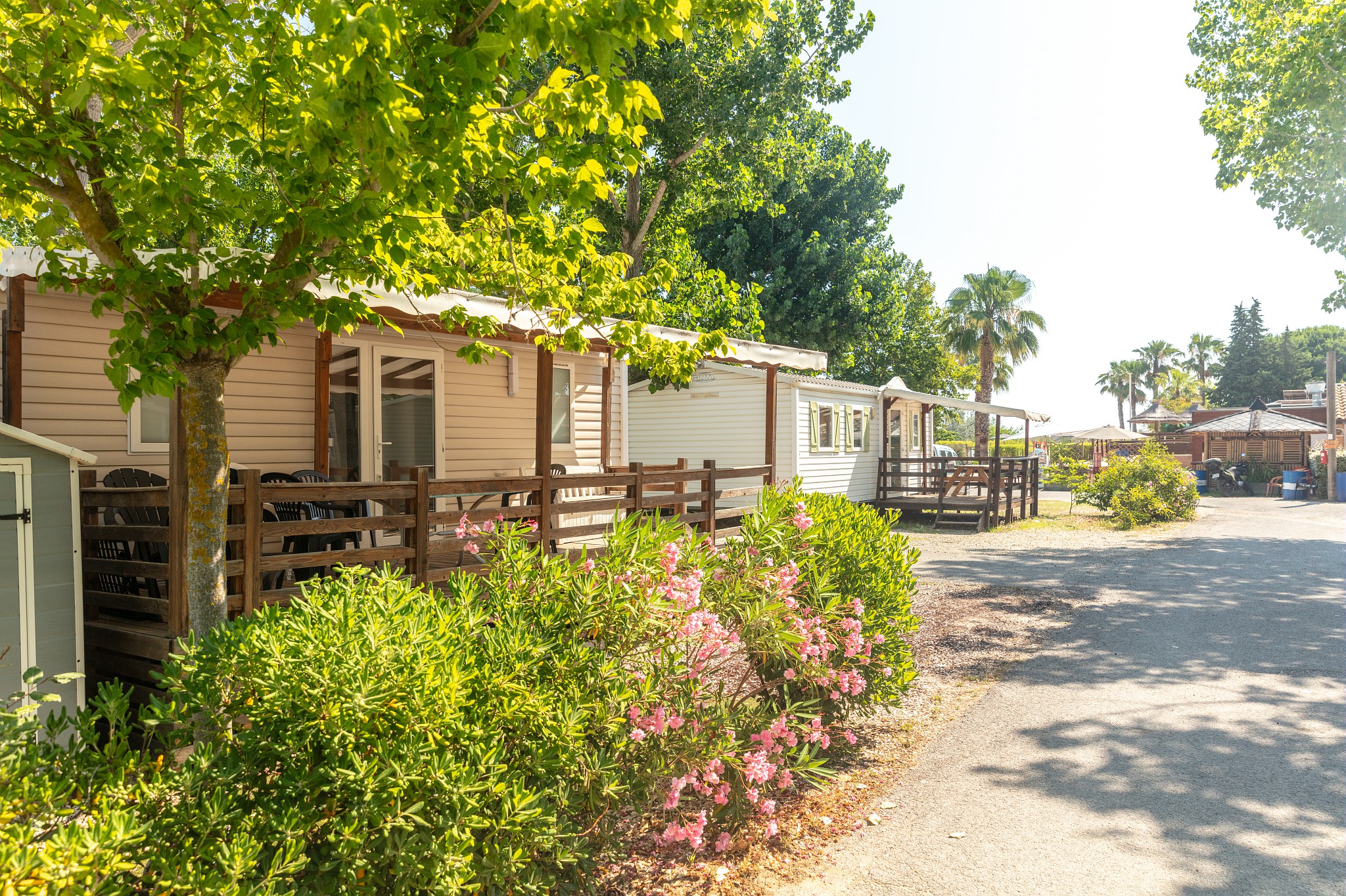 Mobile homes with porches surrounded by bushes and trees on a sunny campsite at Marvilla Parks La Marine