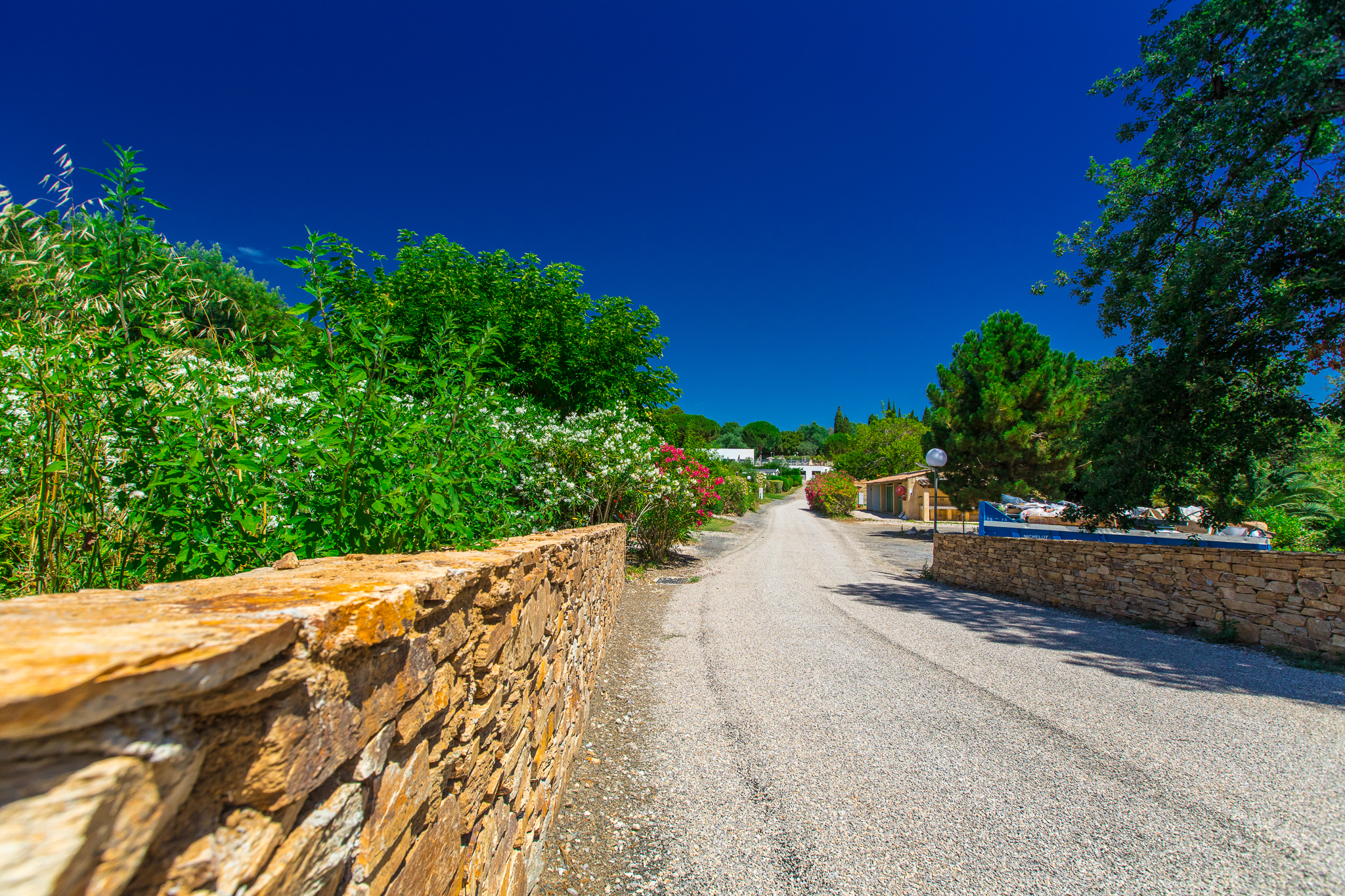 Gravel path lined with stone walls and greenery, leading through a vibrant, sunlit campsite with trees and bushes at Domaine de Miremer