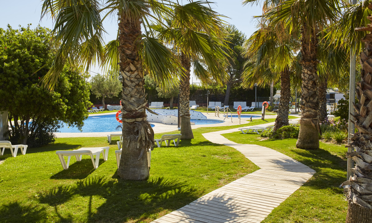Sun loungers on grassy area, palm trees bordering a pool at Alannia Costa Dorada