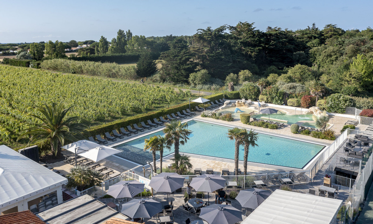 Swimming pool surrounded by sun loungers and umbrellas, adjacent to vineyards and lush green trees at Le Cormoran
