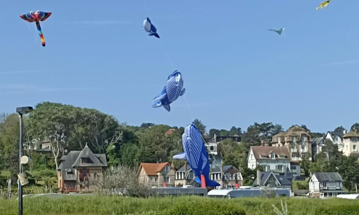 Kites shaped like birds and fish soar above a scenic, residential area with houses and trees at Seasonova Le Domaine Saâne et Mer